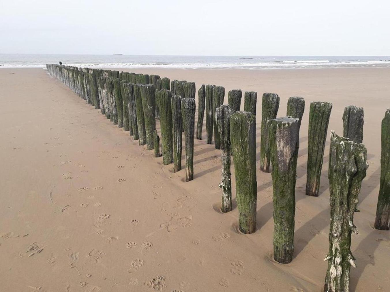 Ferienwohnung Maison Noomi Knokke-Heist Exterior foto